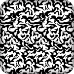 Camo +$9.00