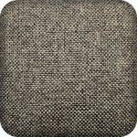 Fossil